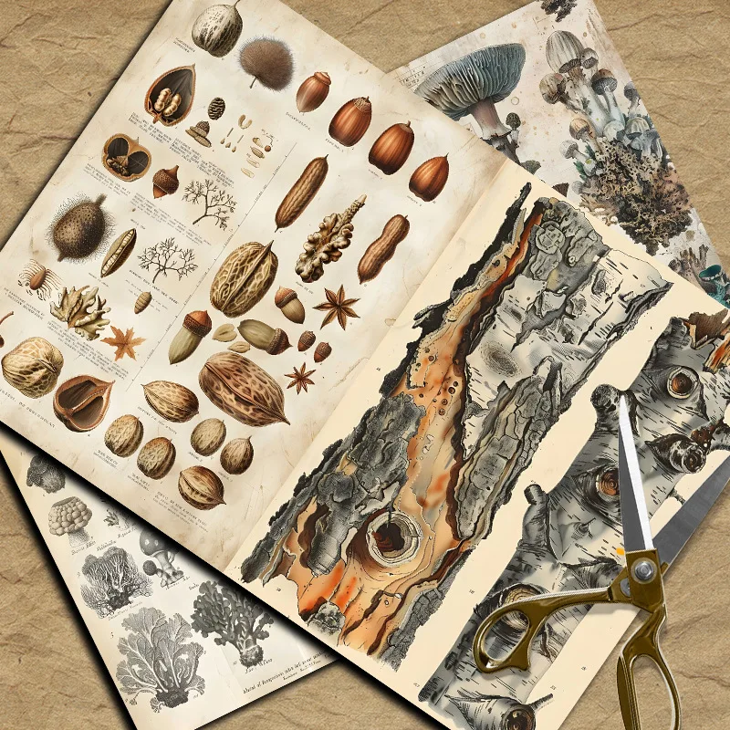 New Vintage Material Papers DI - Vintage Things Collection ulasan dan harga